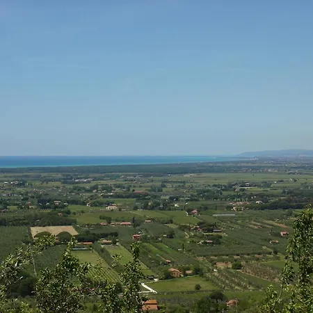 Bambolo